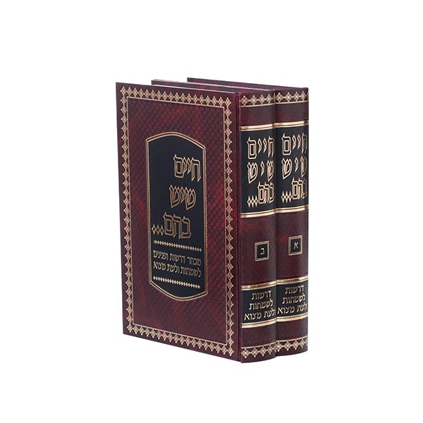 חיים שיש בהם, דרשות, 2 כרכים
