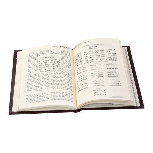 סידור כוונות הרש"ש פורים