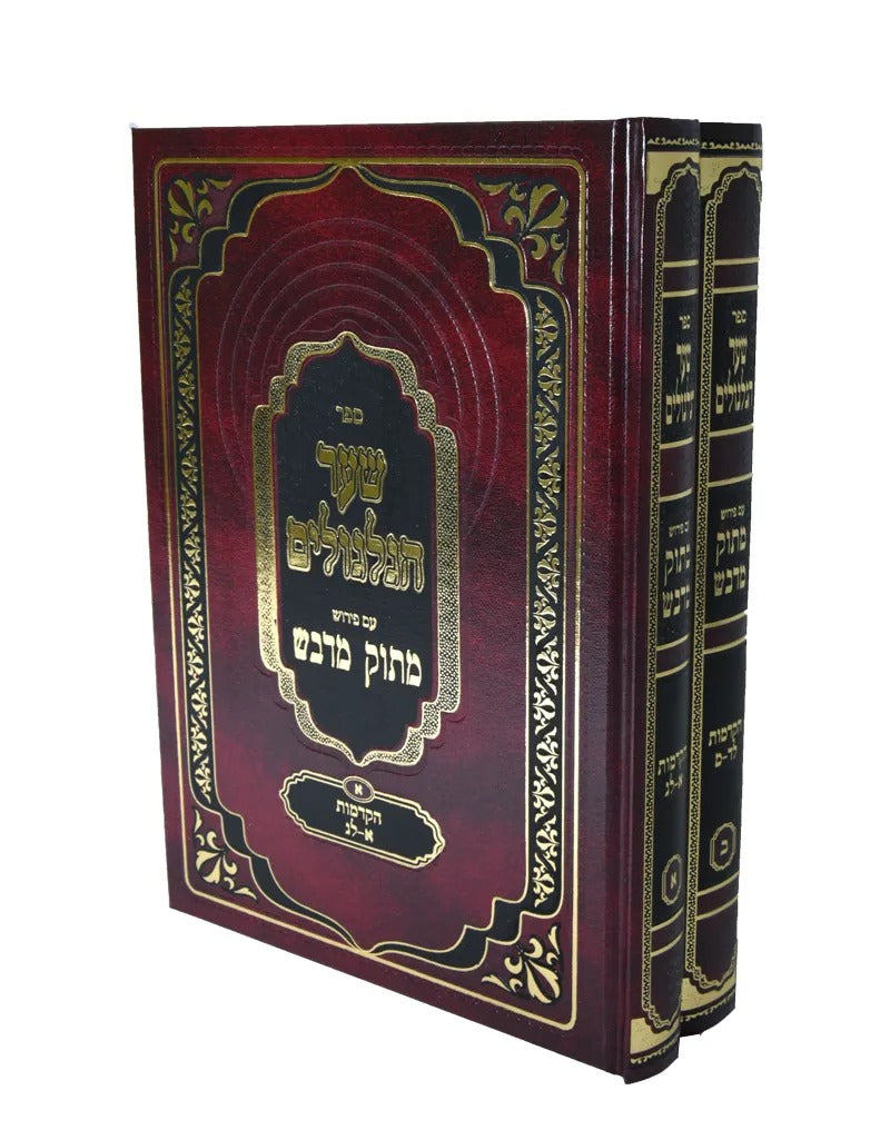 שער הגלגולים לרבינו חיים ויטאל עם פירוש מתוק מדבש