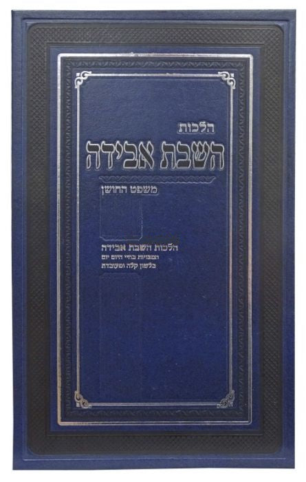 הלכות השבת אבידה שטינהרטר